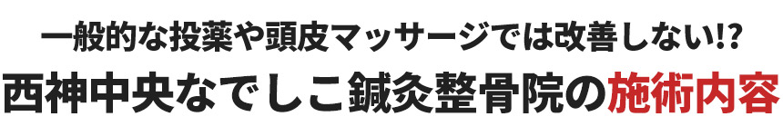施術内容