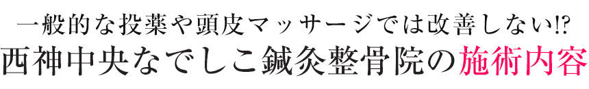 施術内容