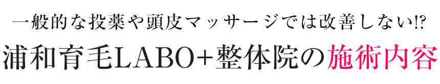 施術内容